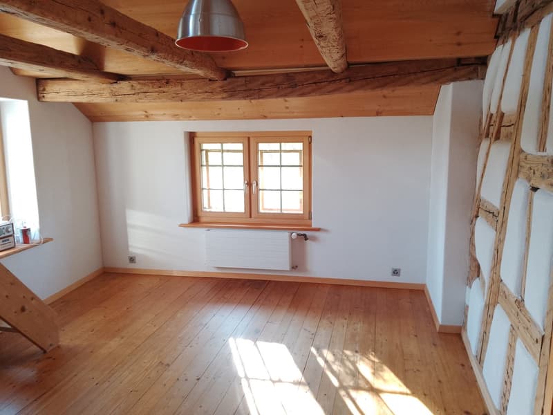 48 m2 Zimmer LILIA: 3 ZIMMER ALS MAISONETTE - RIEGELHAUS BUBIKON (4)