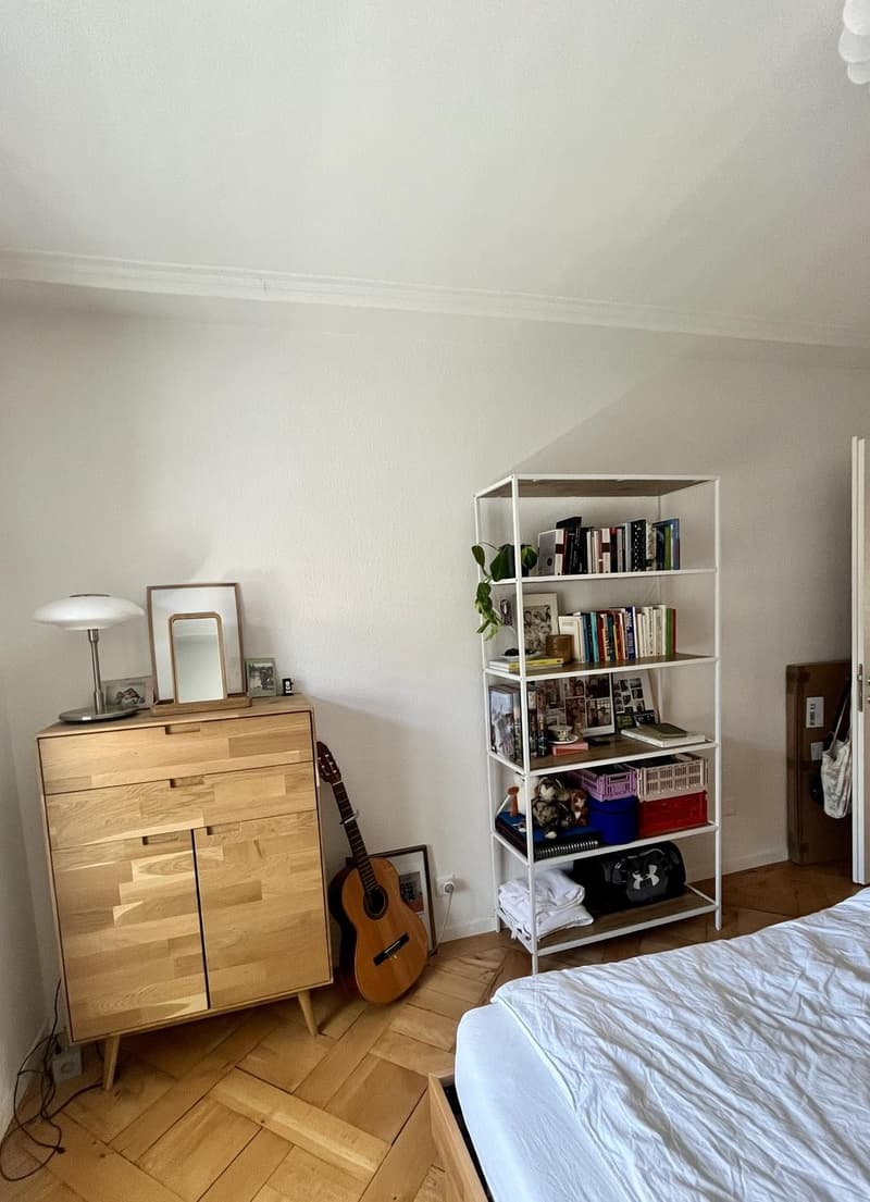 Sonniges Zimmer im Herzen von Zürich / Sunny Room in Central Zurich (3)