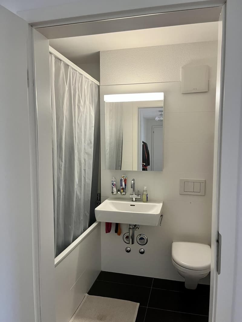 Sonniges Zimmer im Herzen von Zürich / Sunny Room in Central Zurich (8)