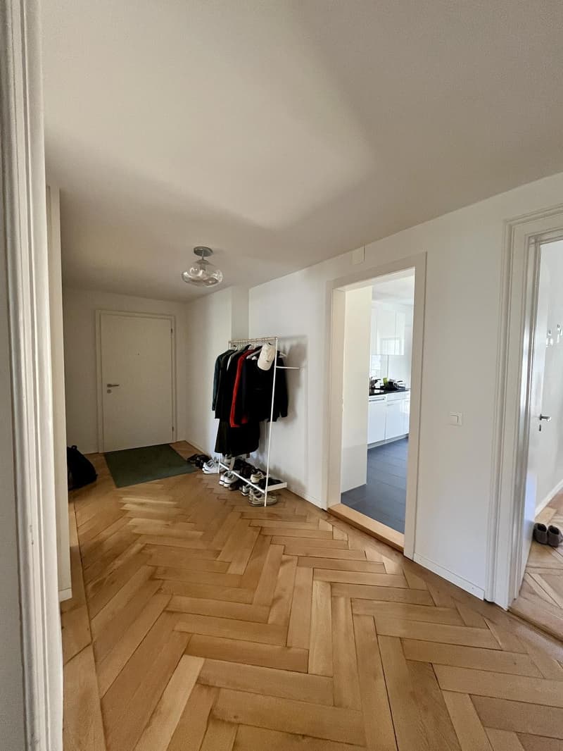 Sonniges Zimmer im Herzen von Zürich / Sunny Room in Central Zurich (9)