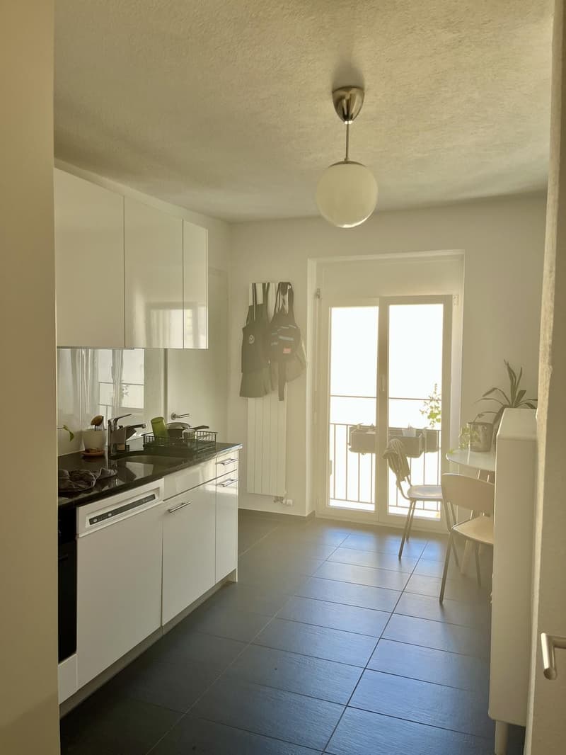Sonniges Zimmer im Herzen von Zürich / Sunny Room in Central Zurich (4)