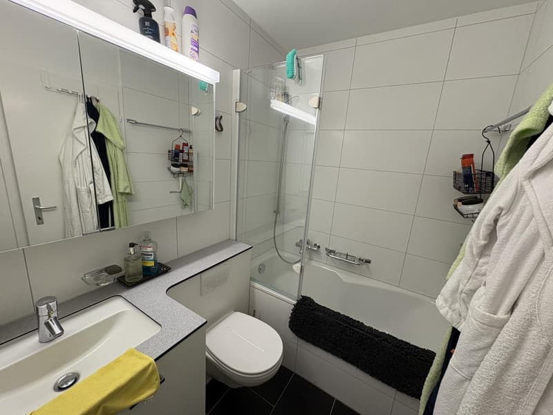 Large Furnished Room in Kloten  Available from Mid-October (10)
