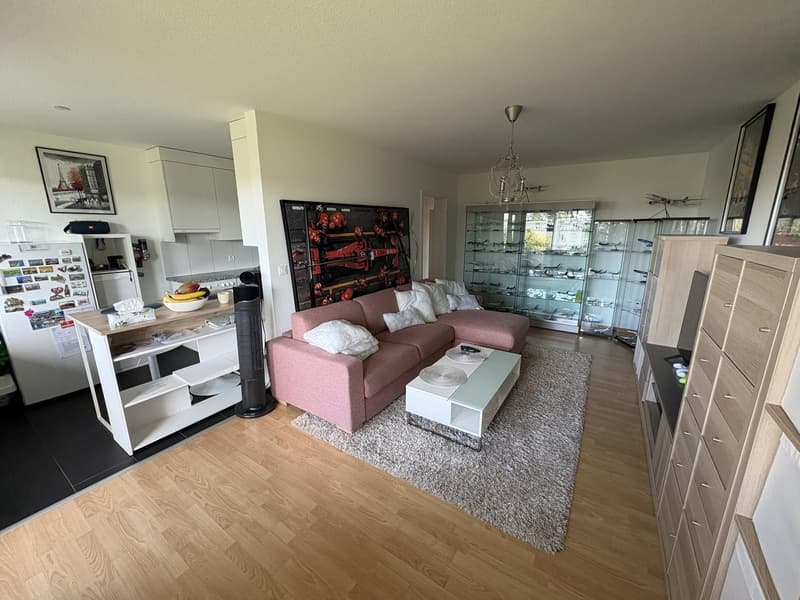 Large Furnished Room in Kloten  Available from Mid-October (8)