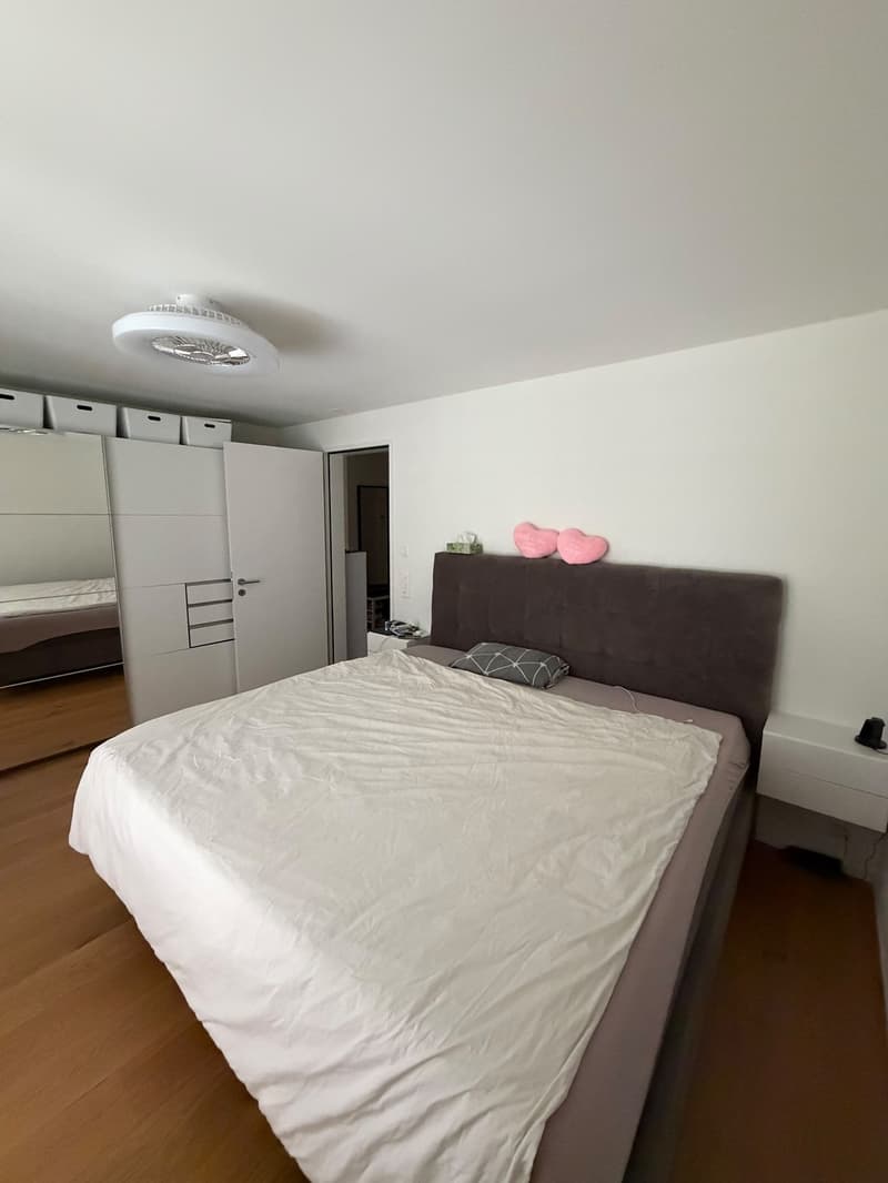 Wunderschön 3 1/2 Zimmer Wohnung mit 50m2 Balkon, sowie Garten (7)