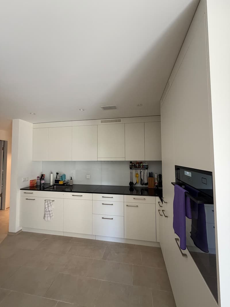 Wunderschön 3 1/2 Zimmer Wohnung mit 50m2 Balkon, sowie Garten (3)