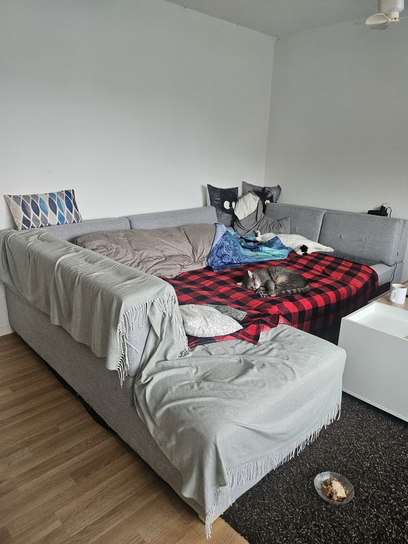 Nachmieter per 1.12.26 gesucht (13)