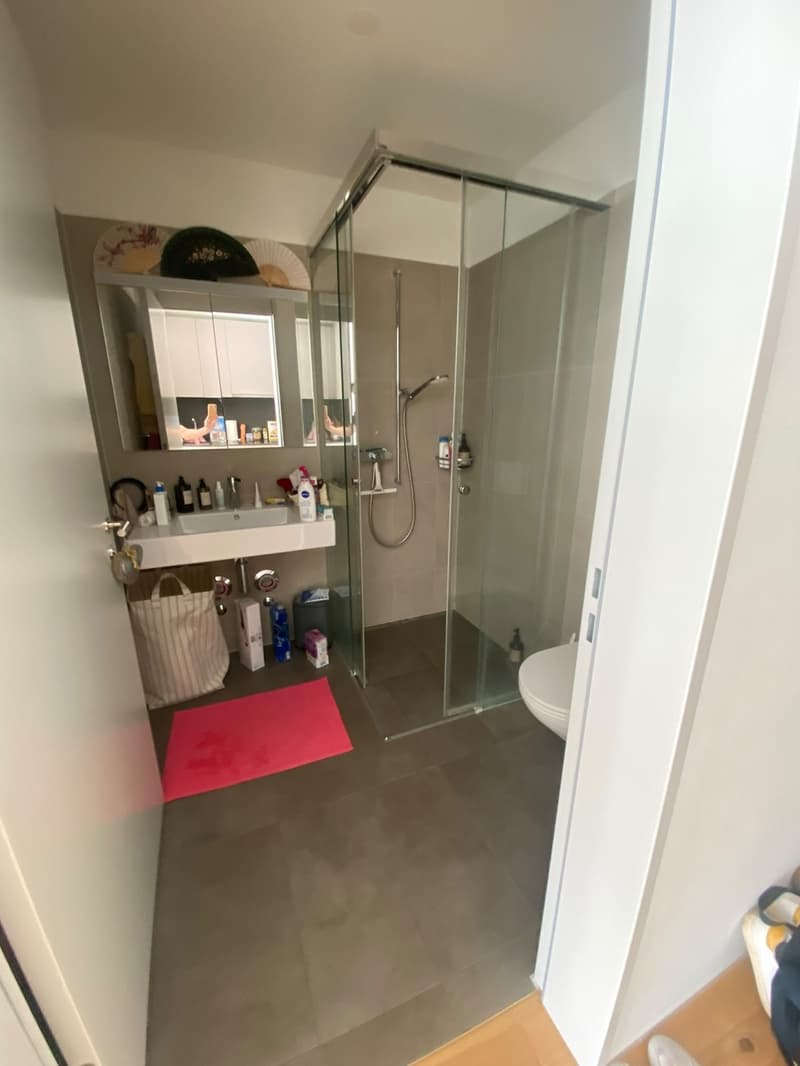 Untermiete helle und moderne 1.5 Zimmerwohnung in Witikon (4)