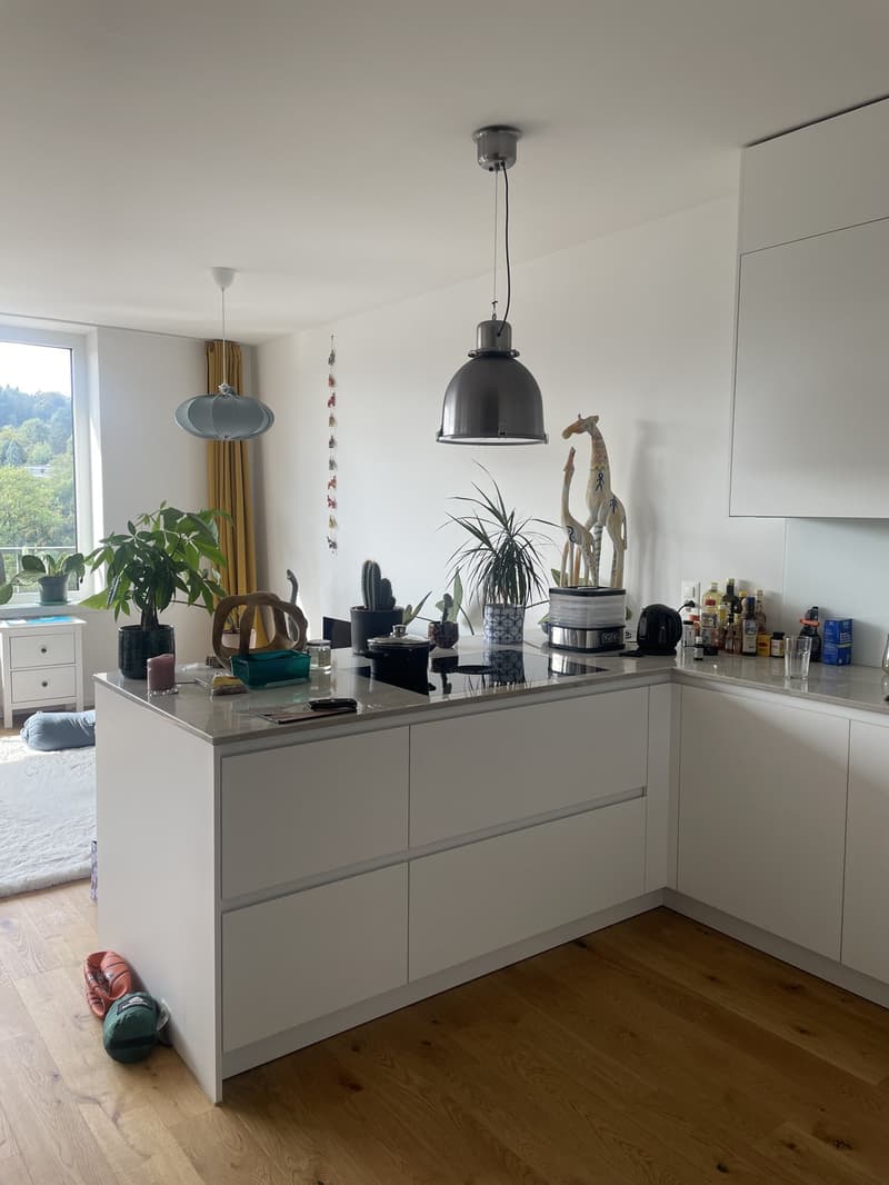 Wunderschöne Neubauwohnung mit Alpenblick (3)