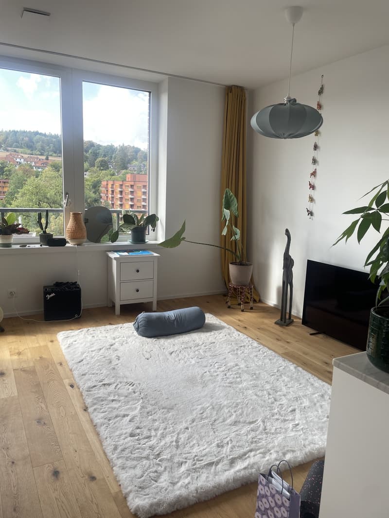 Wunderschöne Neubauwohnung mit Alpenblick (13)