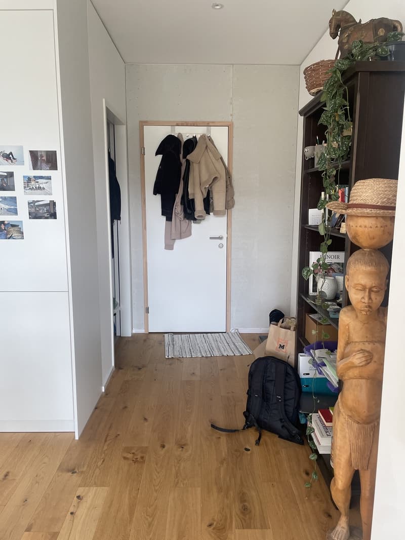 Wunderschöne Neubauwohnung mit Alpenblick (4)