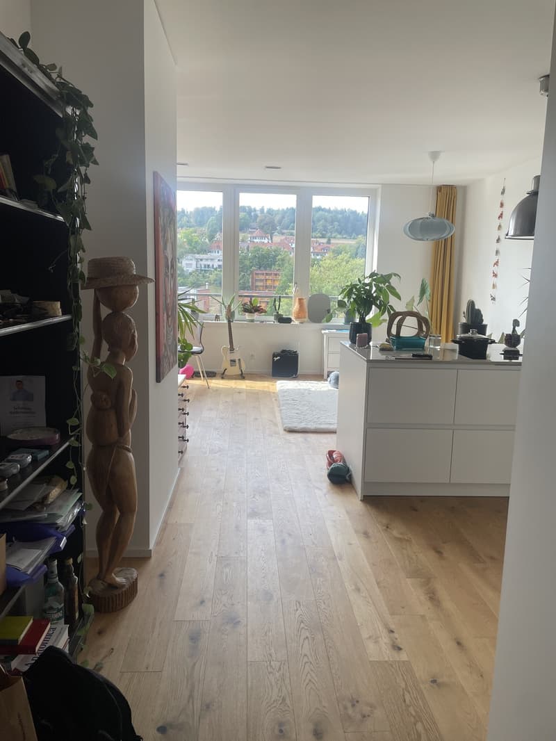 Wunderschöne Neubauwohnung mit Alpenblick (6)