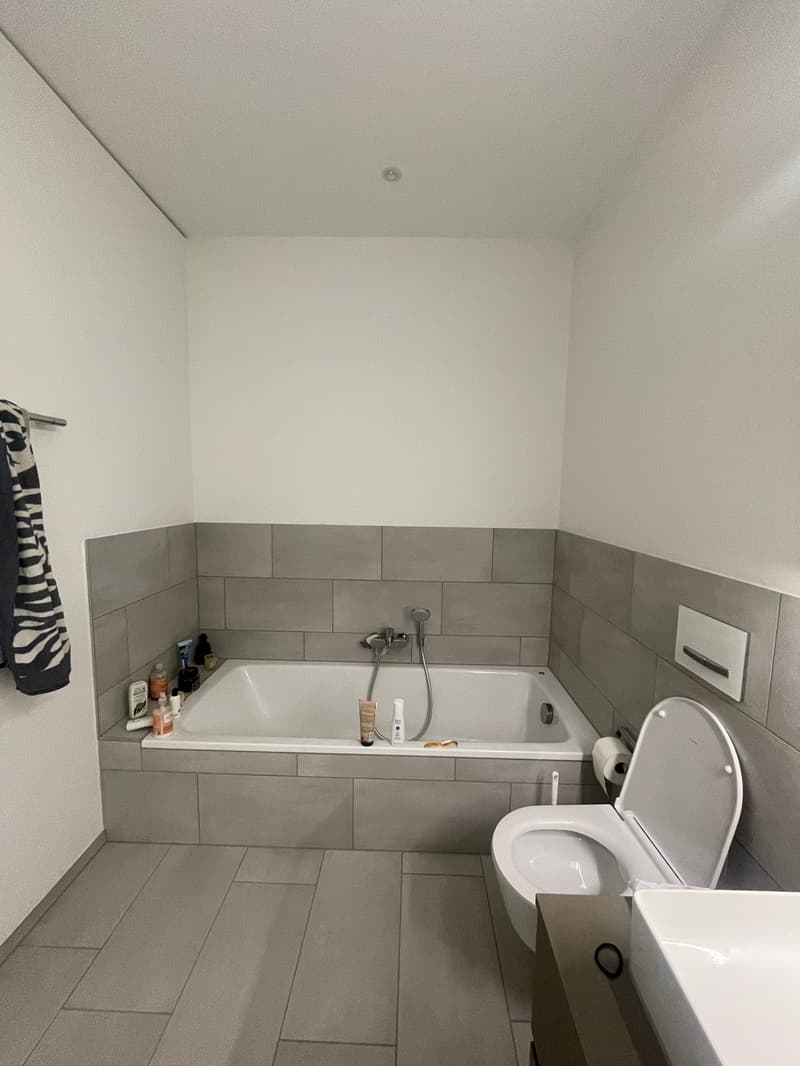 Wunderschöne Neubauwohnung mit Alpenblick (12)