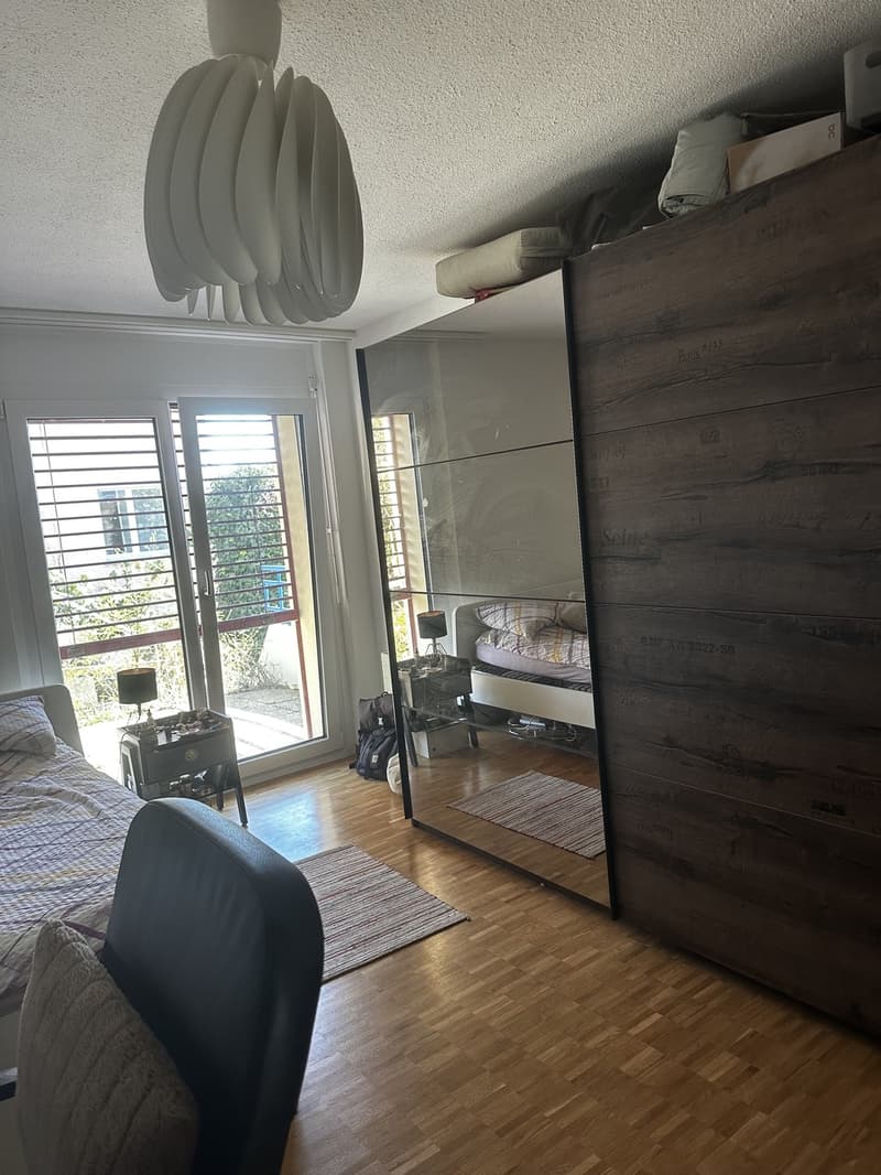 Room available 4-month sublet, Option to Extend (2)