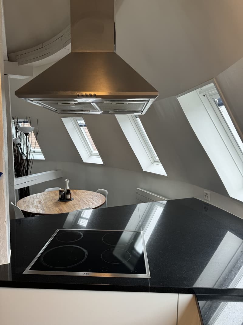 2 room apartment (2)