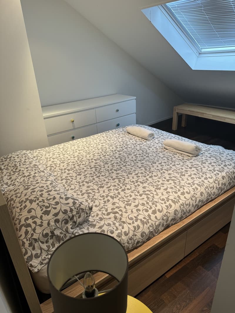 2 room apartment (5)