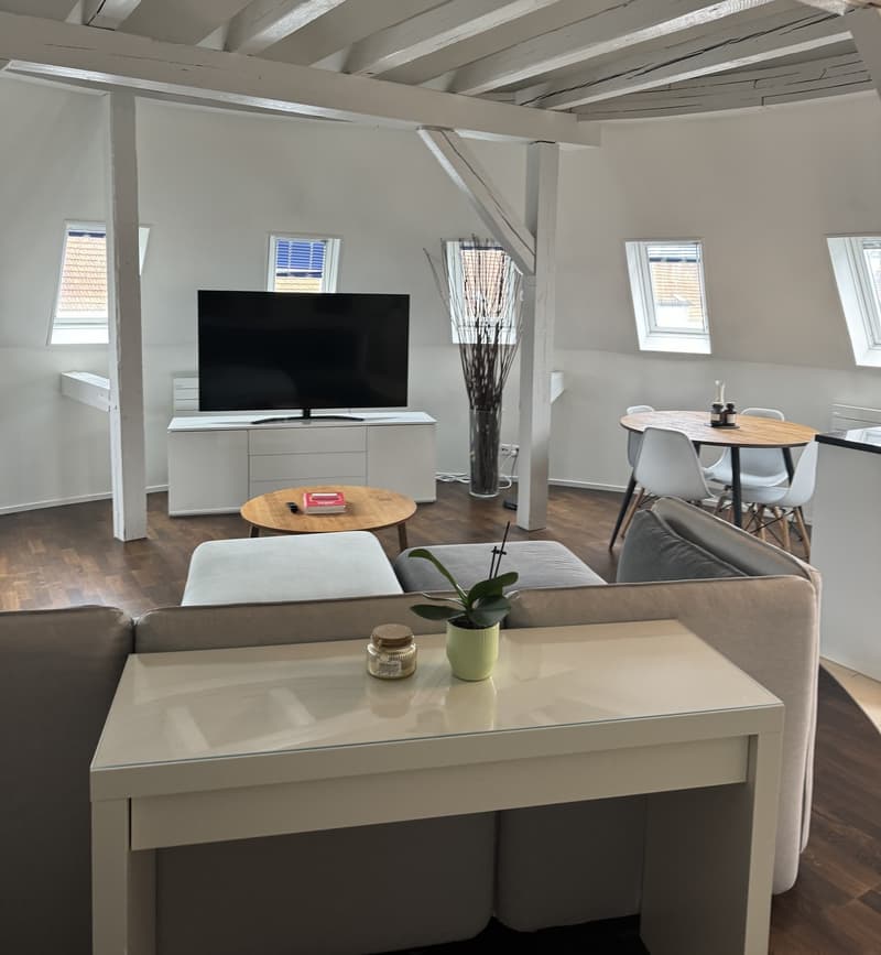 2 room apartment (1)