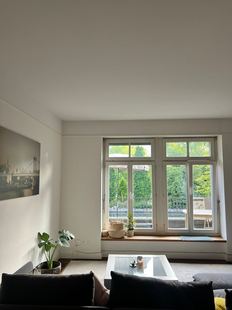 WG an der oberen Limmat (9)