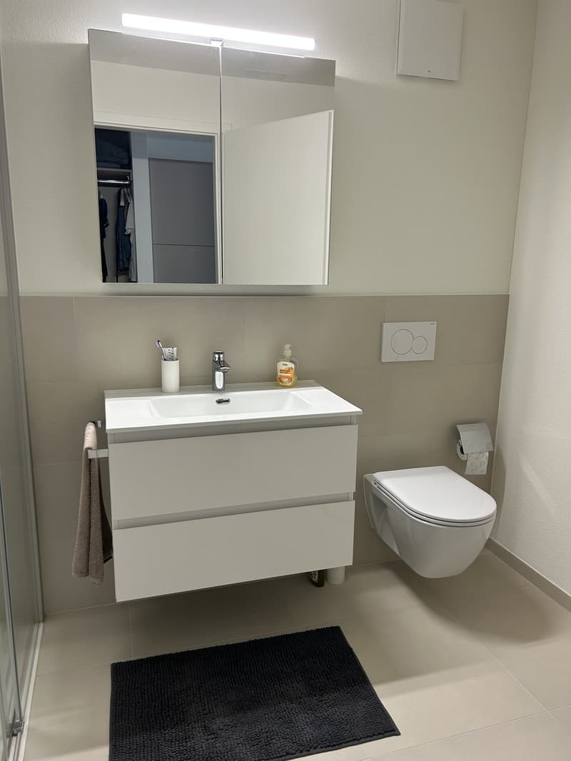 Cerco subentrante x moderno monolocale (7)