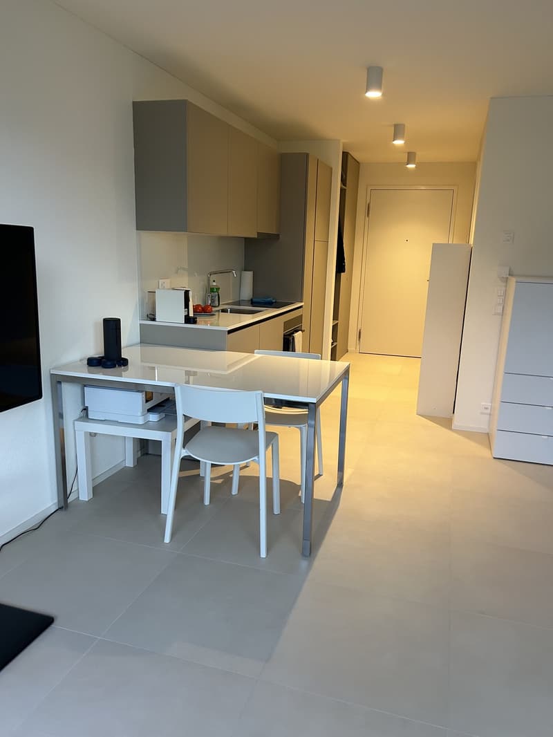 Cerco subentrante x moderno monolocale (4)