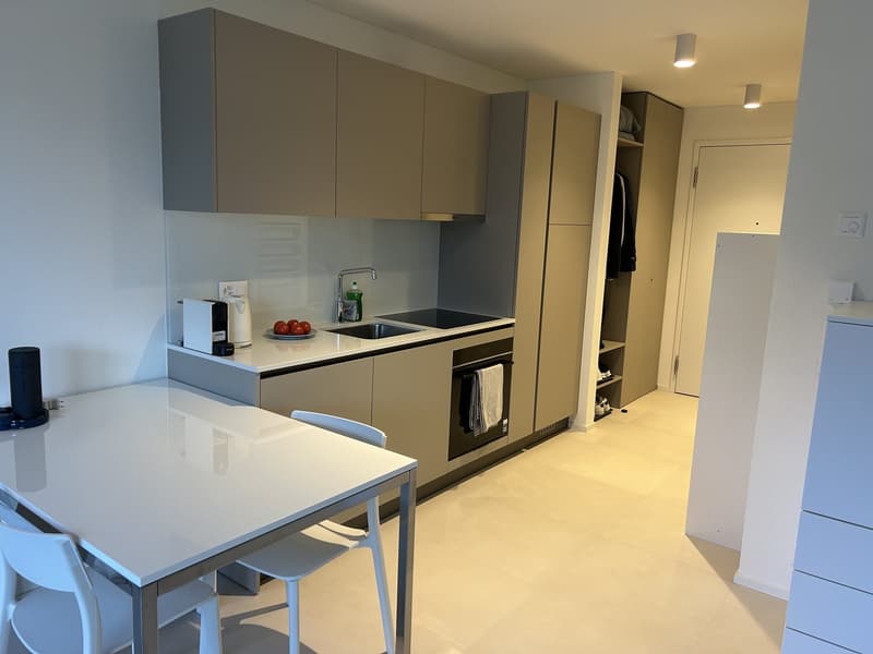 Cerco subentrante x moderno monolocale (5)