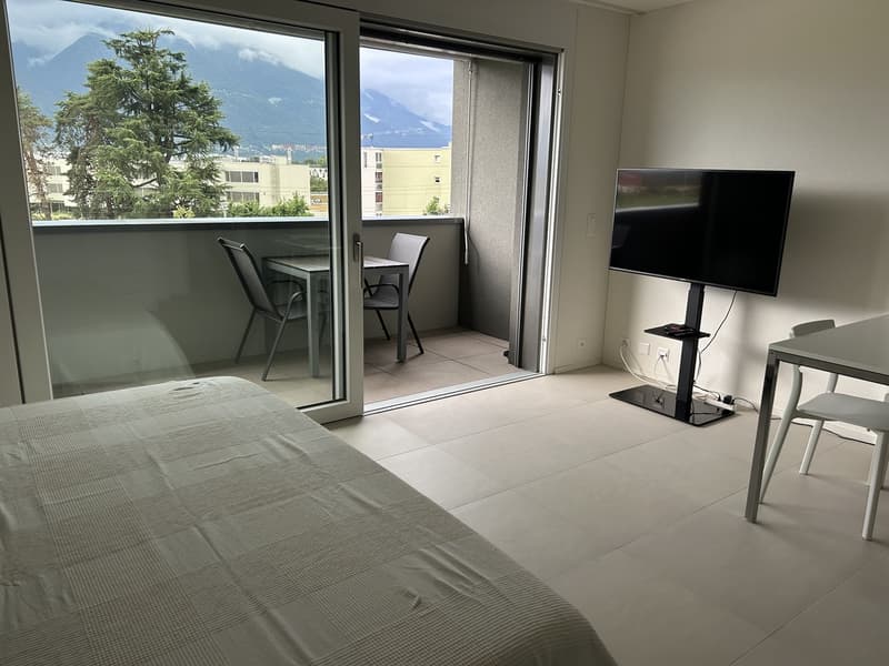 Cerco subentrante x moderno monolocale (2)