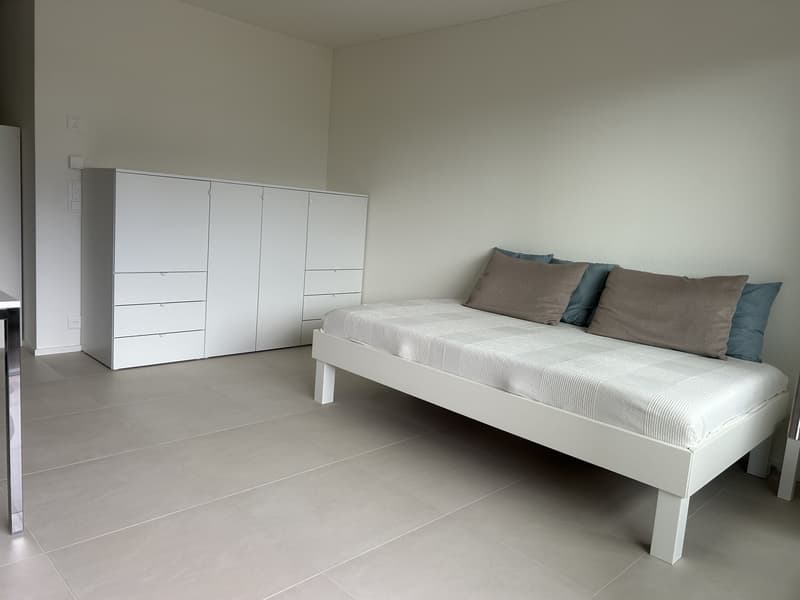Cerco subentrante x moderno monolocale (3)