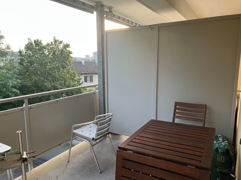 Helle und gut geschnittene 3-Zimmer-Wohnung in Zürich zur Nachmiete verfügbar (5)
