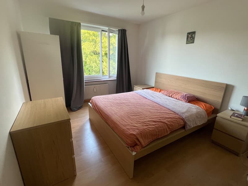 Helle und gut geschnittene 3-Zimmer-Wohnung in Zürich zur Nachmiete verfügbar (2)