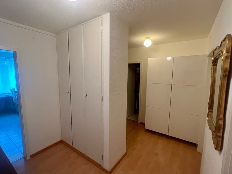 Helle und gut geschnittene 3-Zimmer-Wohnung in Zürich zur Nachmiete verfügbar (7)
