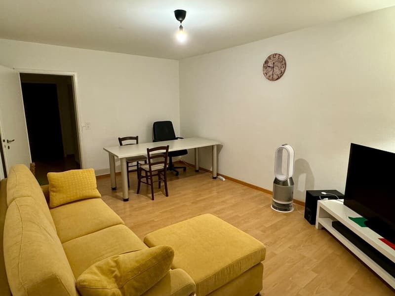 Helle und gut geschnittene 3-Zimmer-Wohnung in Zürich zur Nachmiete verfügbar (8)