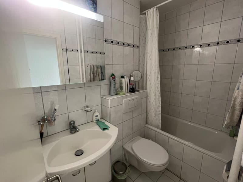 Helle und gut geschnittene 3-Zimmer-Wohnung in Zürich zur Nachmiete verfügbar (10)