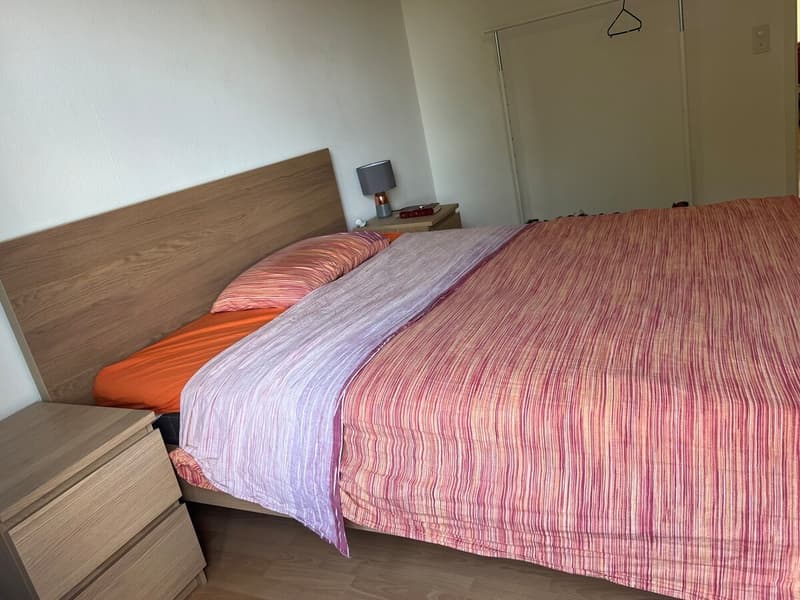 Helle und gut geschnittene 3-Zimmer-Wohnung in Zürich zur Nachmiete verfügbar (3)