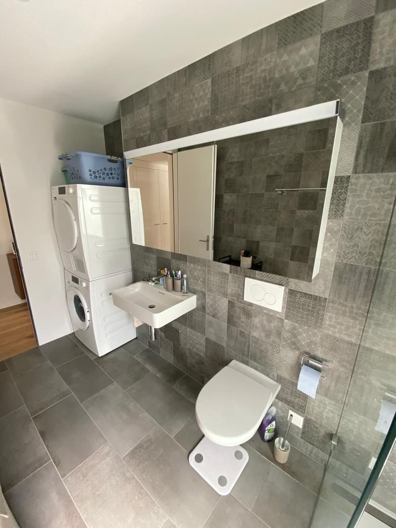 Modern & Sunny 2.5-Room Apartment in Wipkingen Close to the Limmat (4)