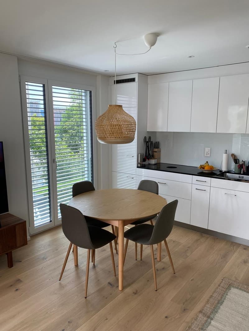 Modern & Sunny 2.5-Room Apartment in Wipkingen Close to the Limmat (5)