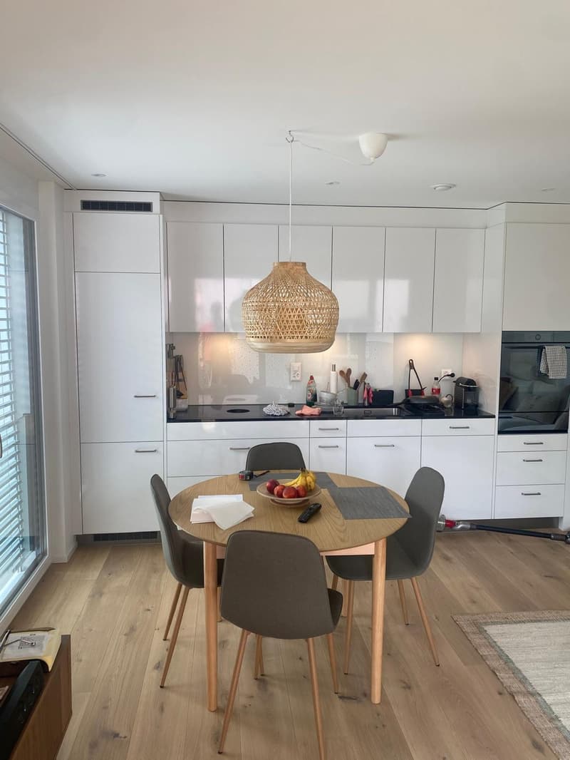 Modern & Sunny 2.5-Room Apartment in Wipkingen Close to the Limmat (2)