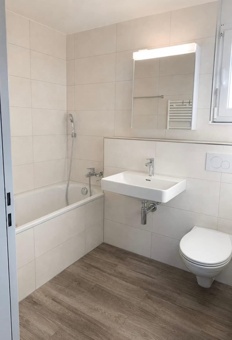 Attiko helle und grosszügige Wohnung ideal für alle, die Ruhe und Natur lieben. (5)