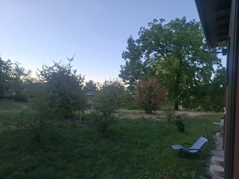 WG-Zimmer in Horgen ab 1. Oktober (6)