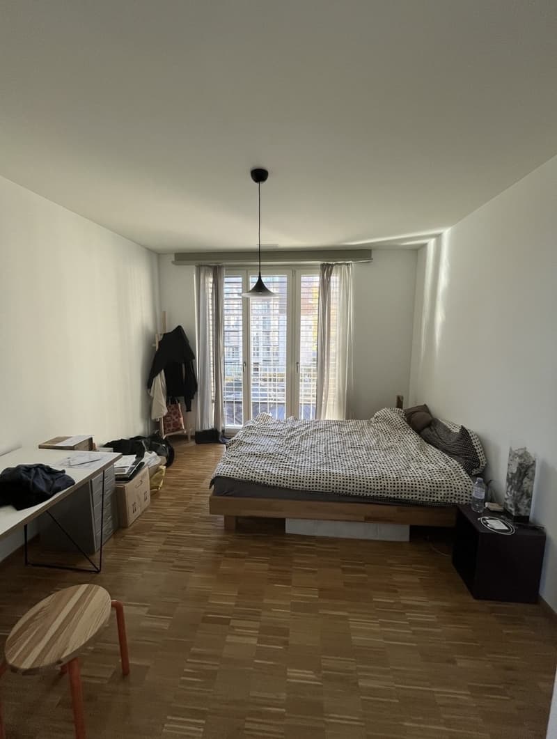 Room in a shared apartment - from September (3)