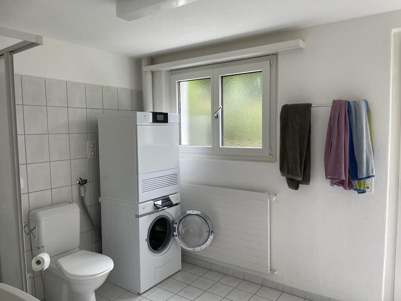 Bathroom (Downstairs)
