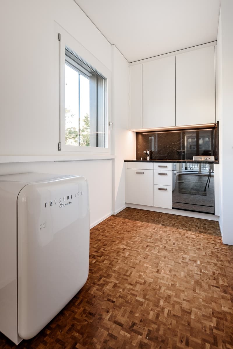 1.5 Zimmerwohnung am Zürichberg (2)