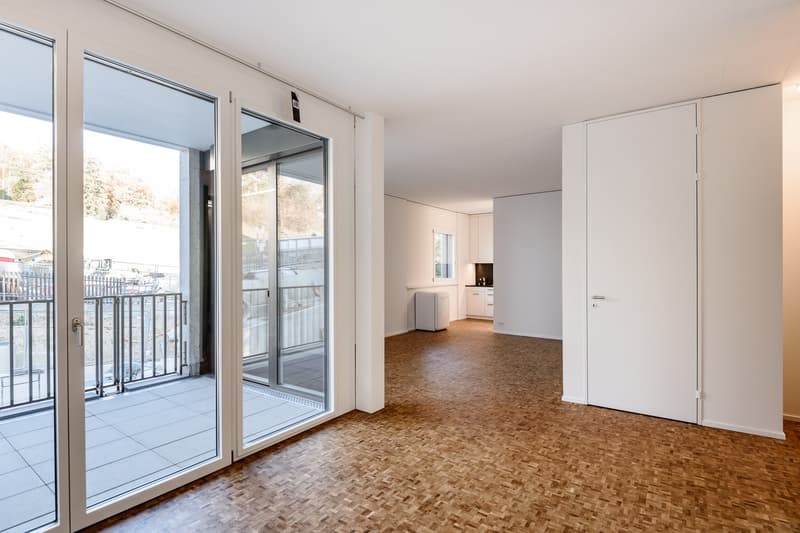 1.5 Zimmerwohnung am Zürichberg (3)