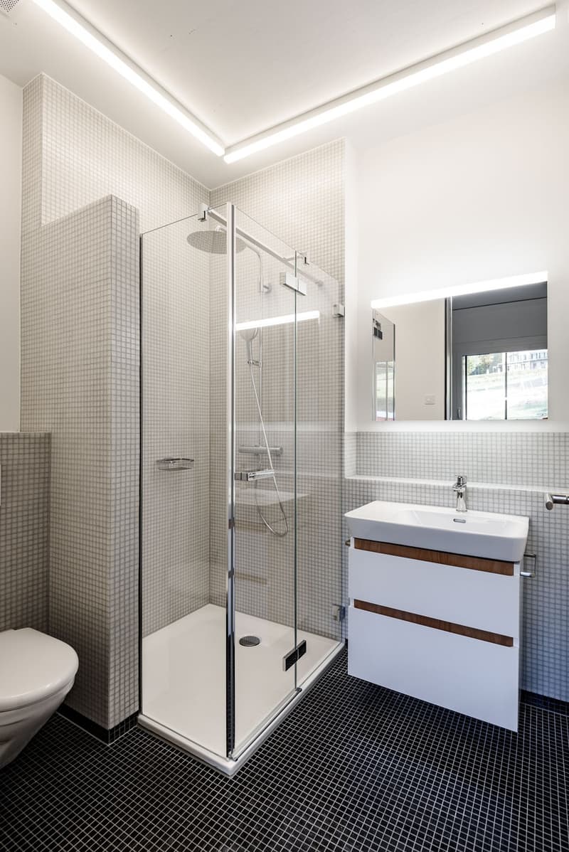 1.5 Zimmerwohnung am Zürichberg (1)
