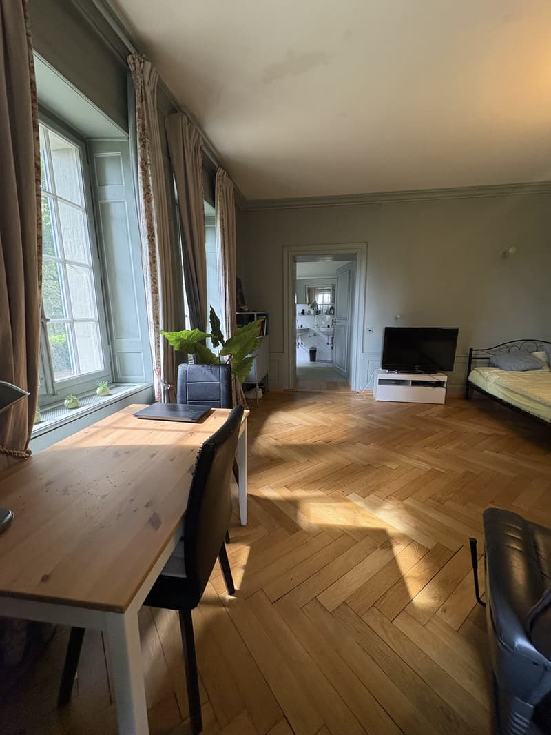 Chambre de caractère- 40 m² - salle de bain privative dans un Château (8)