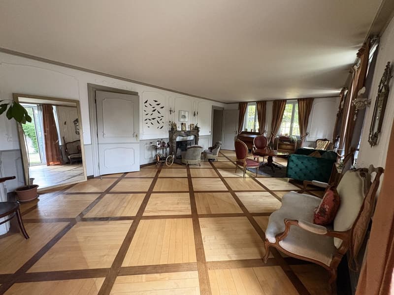 Chambre de caractère- 40 m² - salle de bain privative dans un Château (1)