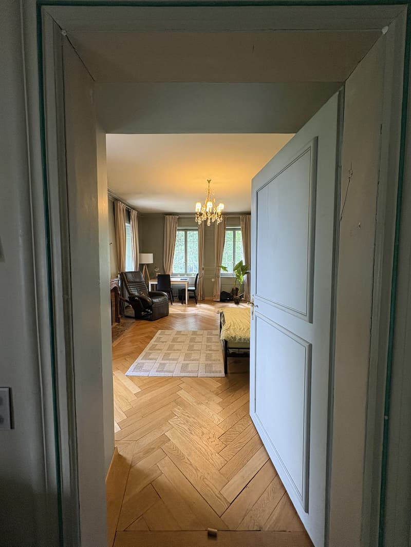 Chambre de caractère- 40 m² - salle de bain privative dans un Château (12)
