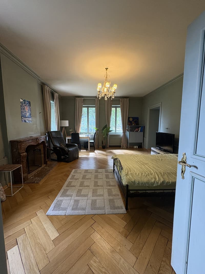 Chambre de caractère- 40 m² - salle de bain privative dans un Château (13)