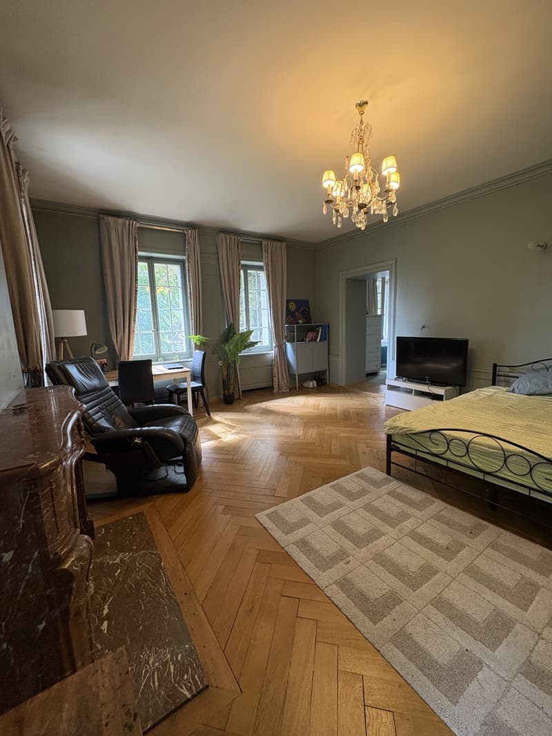 Chambre de caractère- 40 m² - salle de bain privative dans un Château (10)