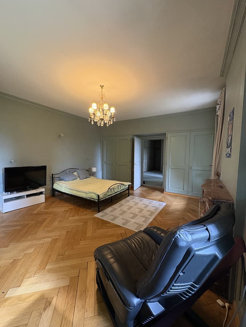 Chambre de caractère- 40 m² - salle de bain privative dans un Château (7)