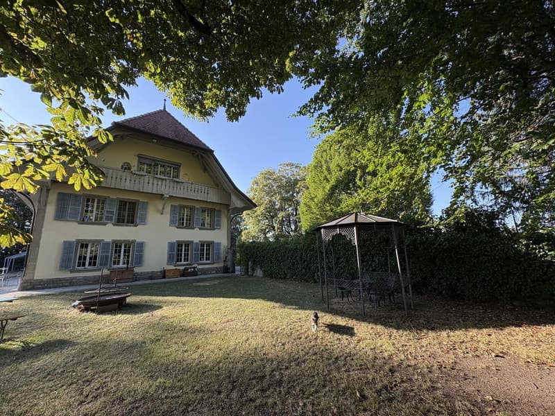 Chambre de caractère- 40 m² - salle de bain privative dans un Château (4)