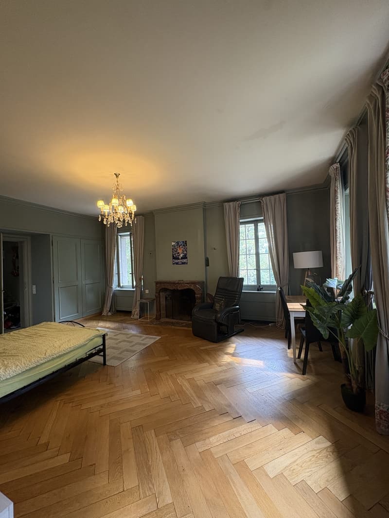 Chambre de caractère- 40 m² - salle de bain privative dans un Château (11)